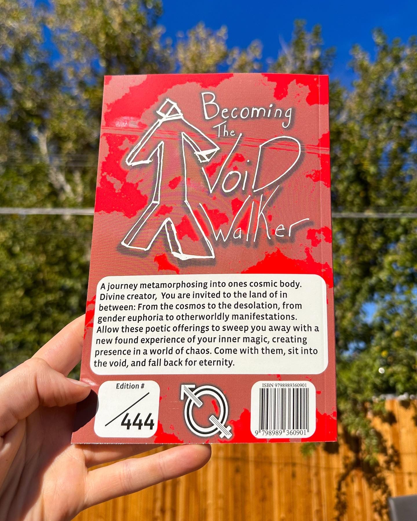 Becoming The Void Walker Book